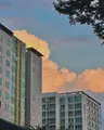 지구쌤 | 스마트워크 기록실님의 프로필 사진
