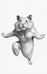 こーめーのプロフィール画像
