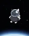 mito.co님의 프로필 사진