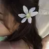 Profile picture of Honeymoon