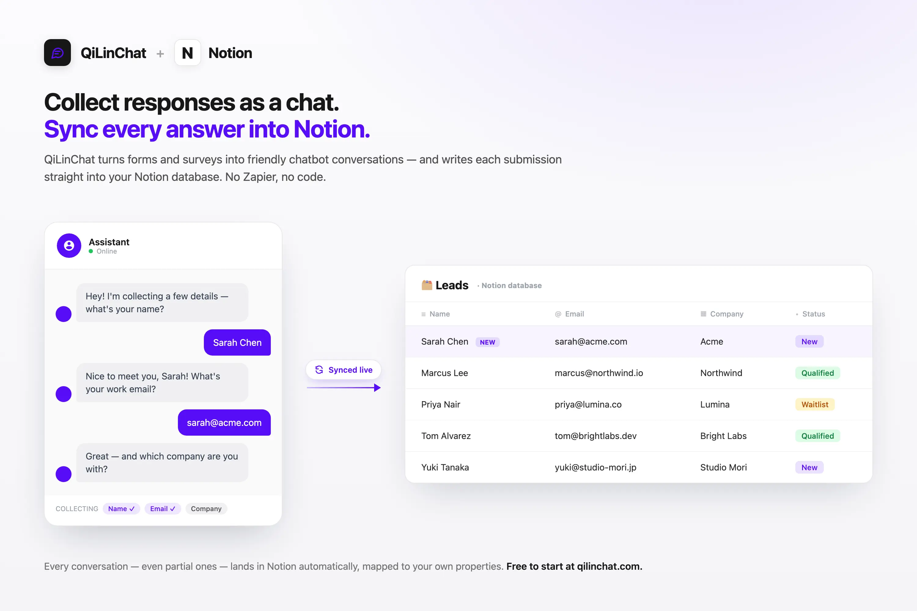 Turn forms and surveys into chatbot conversations that sync to Notion.