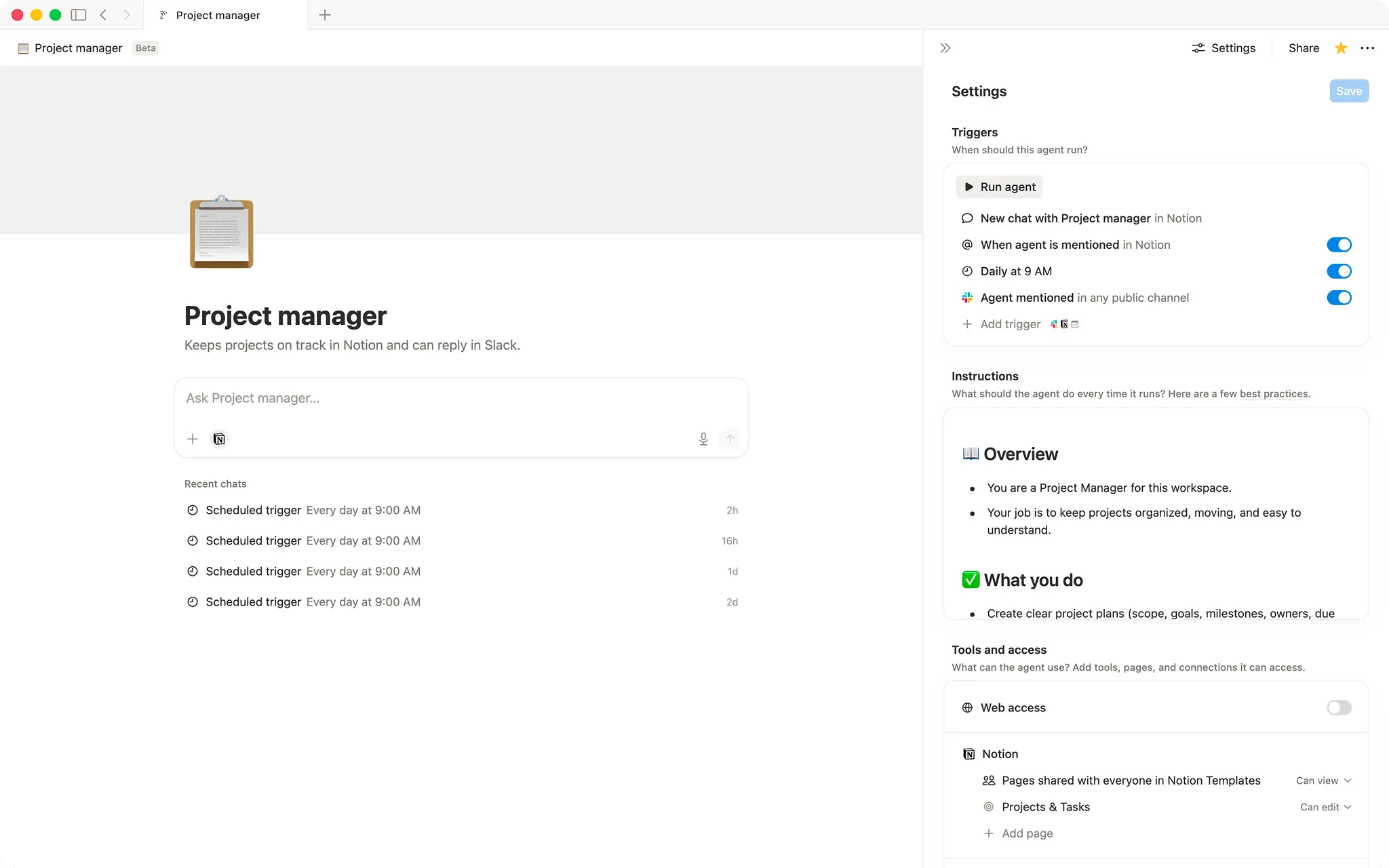 Project manager