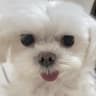 Profile picture of minimingming
