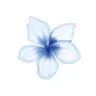 Profile picture of ⟢Tooty Notes۶ৎ.