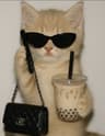 Profile picture of caffeinated.coder