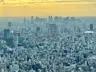 Profile picture of KylieInJapan