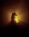 Profile picture of Noa