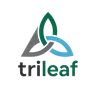 Profile picture of Trileaf templates