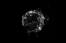 Profile picture of Reverie