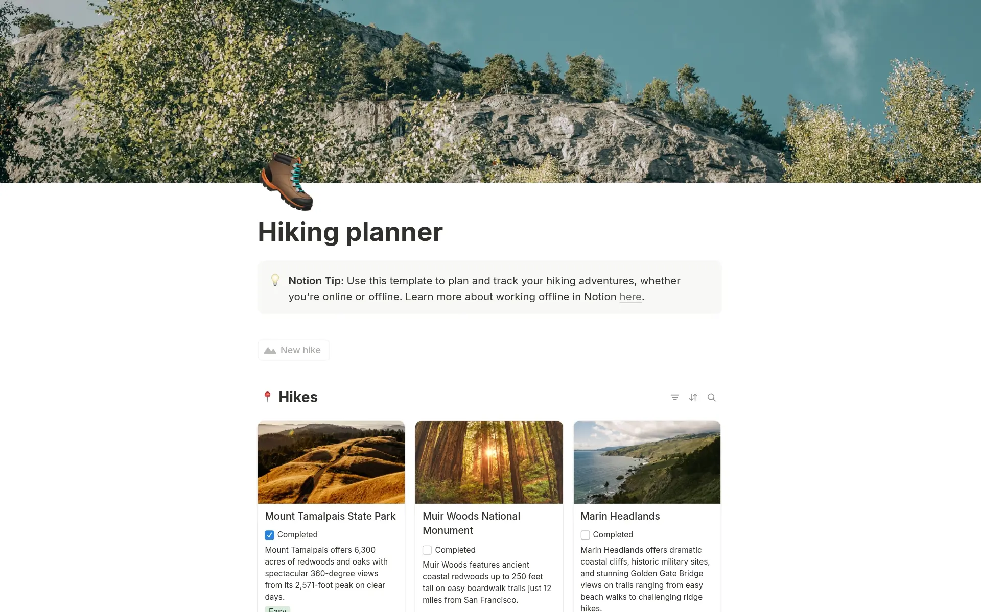 Captura de pantalla de la colección Your digital detox playground de Notion