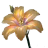 Profile picture of unq2934