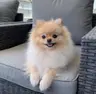 Profile picture of Chelly