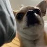 강민준님의 프로필 사진